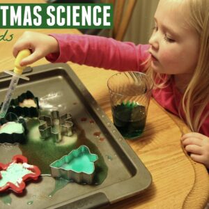 Toddler Christmas Science