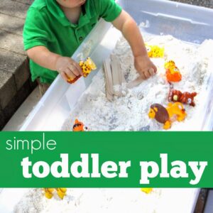 Simple Toddler Play
